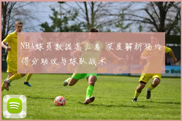 NBA球员数据怎么看 深度解析场均得分助攻与球队战术