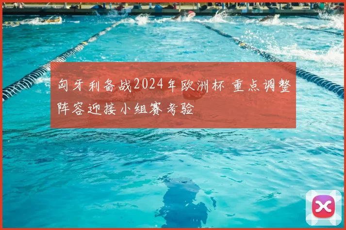 匈牙利备战2024年欧洲杯 重点调整阵容迎接小组赛考验