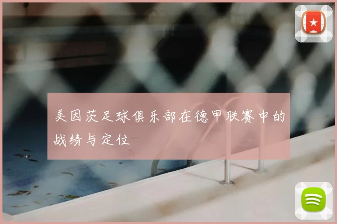美因茨足球俱乐部在德甲联赛中的战绩与定位