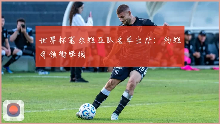 世界杯塞尔维亚队名单出炉:约维奇领衔锋线