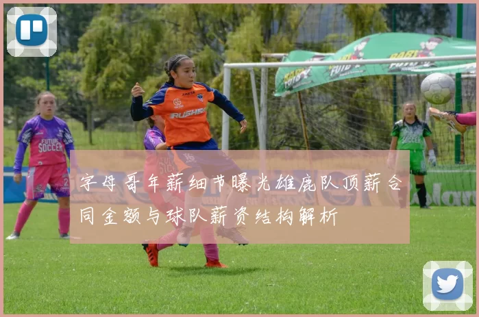 字母哥年薪细节曝光雄鹿队顶薪合同金额与球队薪资结构解析
