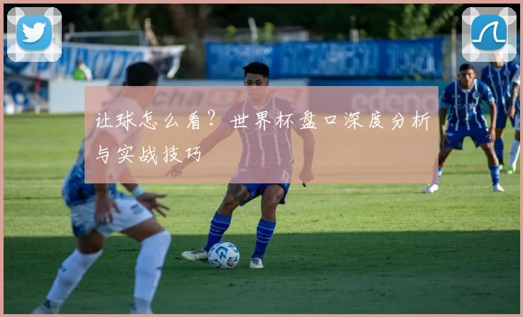 让球怎么看?世界杯盘口深度分析与实战技巧