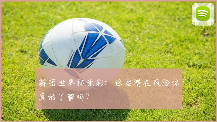 解密世界杯竞彩:这些潜在风险你真的了解吗?