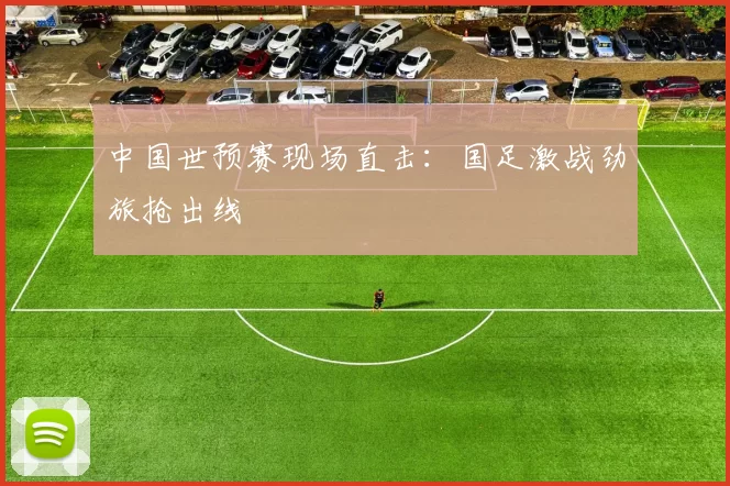 中国世预赛现场直击:国足激战劲旅抢出线
