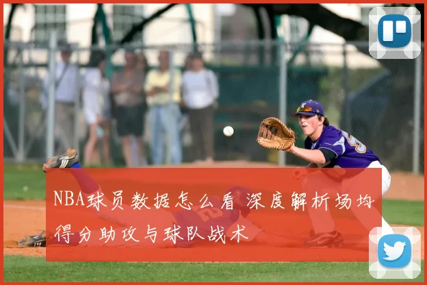 NBA球员数据怎么看 深度解析场均得分助攻与球队战术
