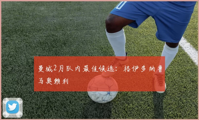 曼城2月队内最佳候选：格伊多纳鲁马奥赖利