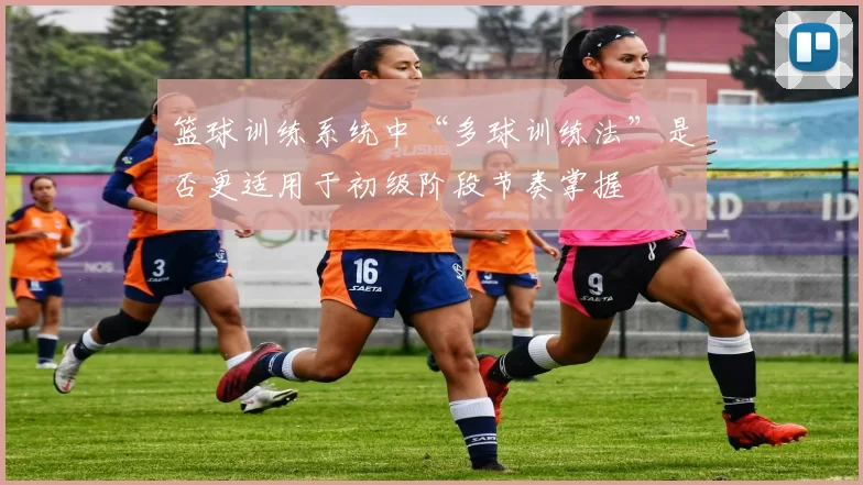 篮球训练系统中“多球训练法”是否更适用于初级阶段节奏掌握