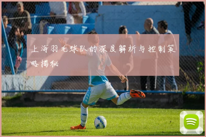 上海羽毛球队的深度解析与控制策略揭秘