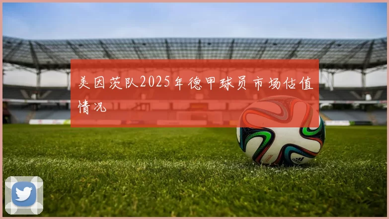 美因茨队2025年德甲球员市场估值情况