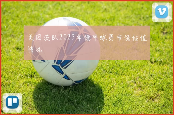 美因茨队2025年德甲球员市场估值情况